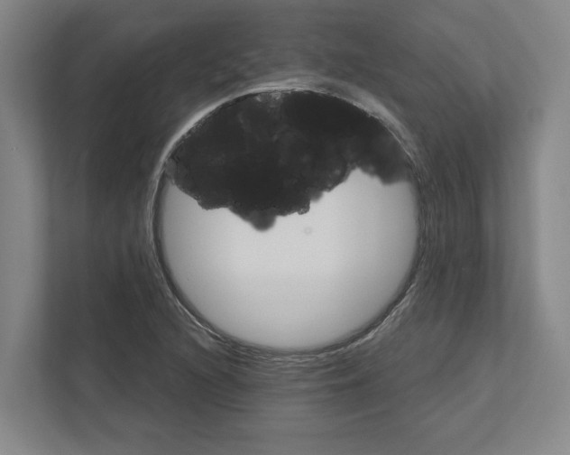 X0000111821216200908201124
