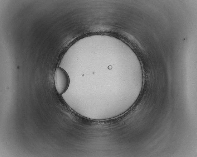 X0000111821217200908201124