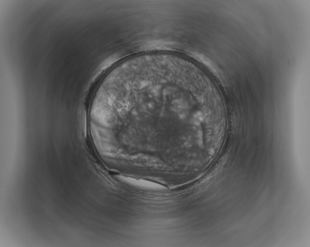 X0000111821219200908201124