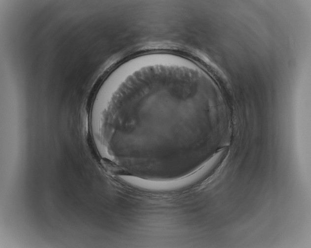 X0000111821221200908201124