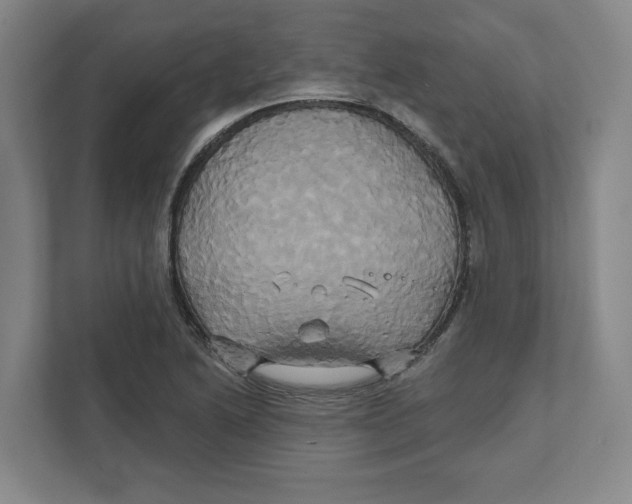 X0000111821222200908201124