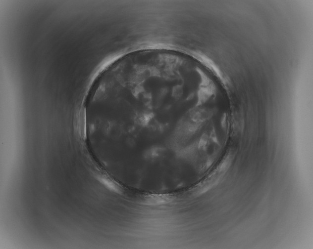 X0000111821223200908201124