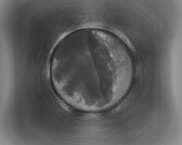 X0000111821224200908201124