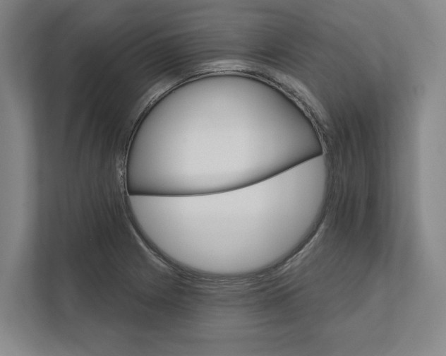 X0000111821225200908201124