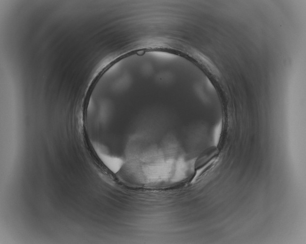 X0000111821226200908201124