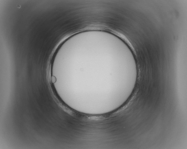 X0000111821227200908201124