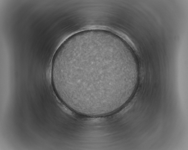 X0000111821228200908201124