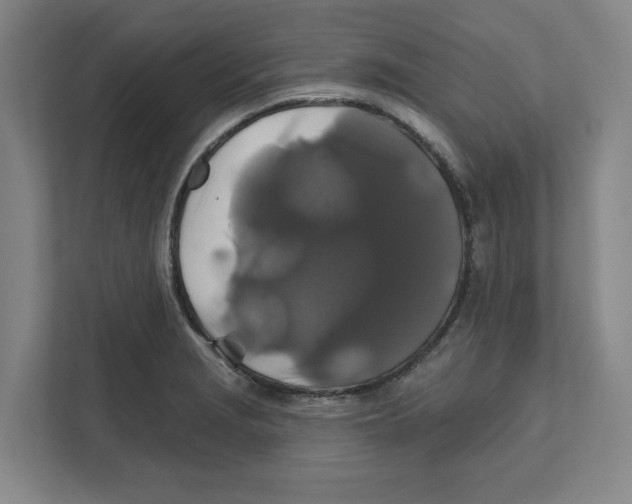 X0000111821229200908201124