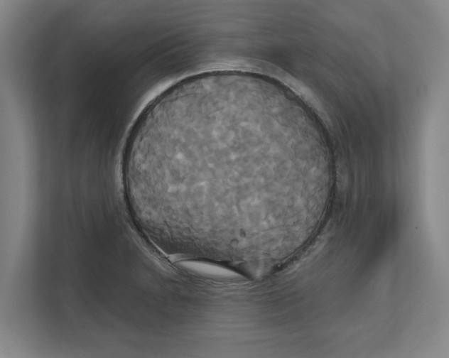 X0000111821230200908201124