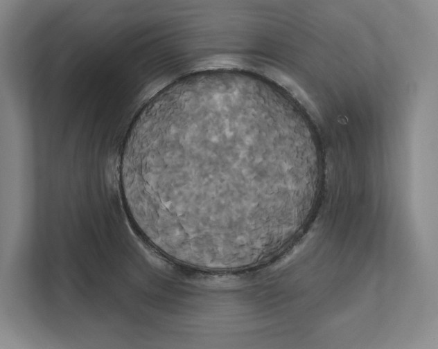 X0000111821233200908201124