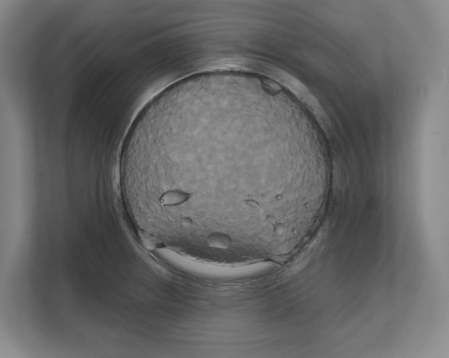 X0000111821234200908201124