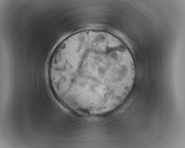 X0000111821235200908201124