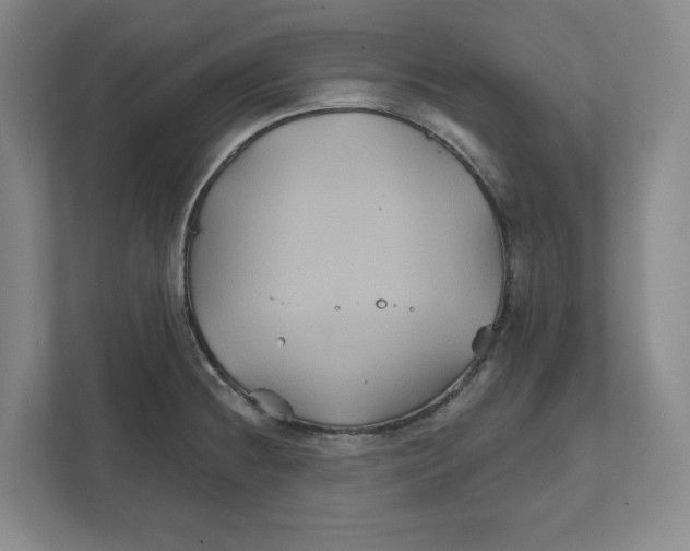 X0000111821236200908201124