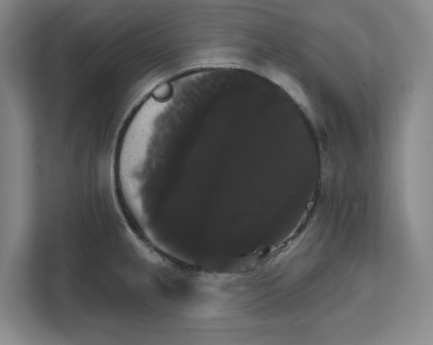 X0000111821237200908201124