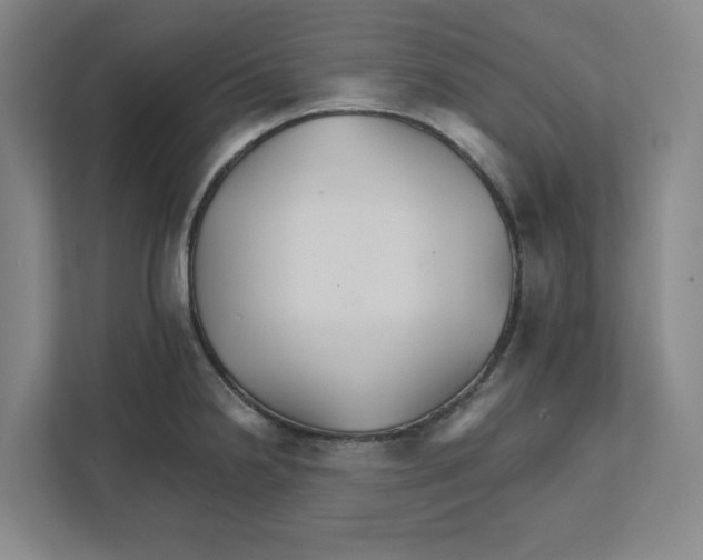 X0000111821238200908201124