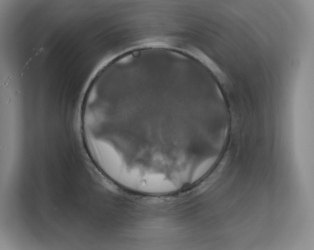 X0000111821240200908201124