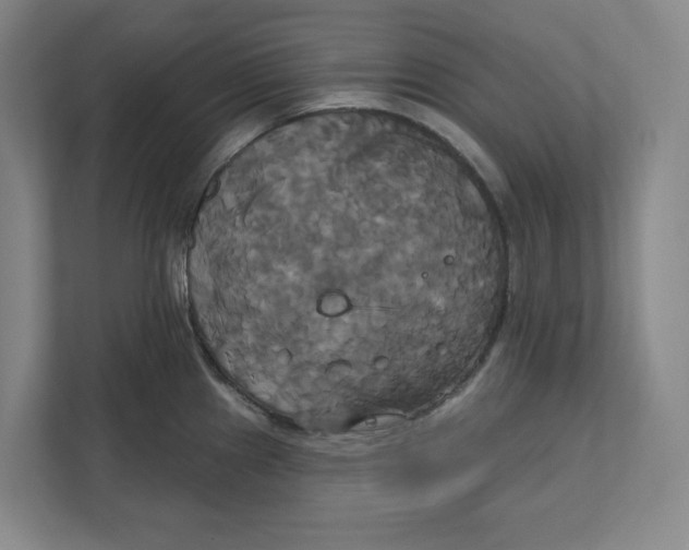 X0000111821241200908201124