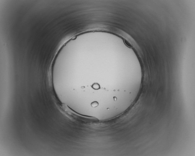 X0000111821242200908201124