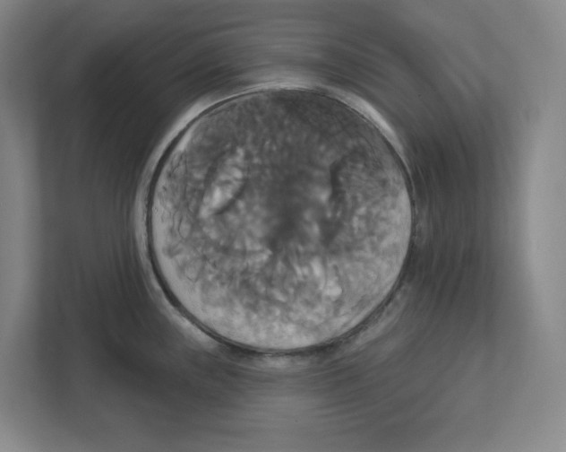 X0000111821243200908201124