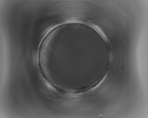 X0000111821244200908201124