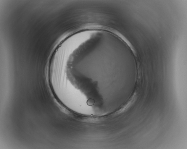 X0000111821245200908201124