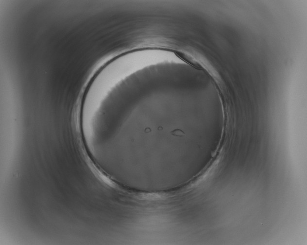 X0000111821246200908201124