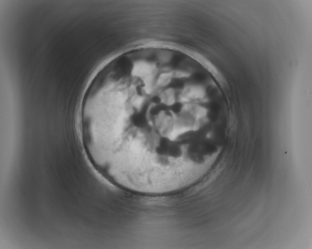 X0000111821247200908201124