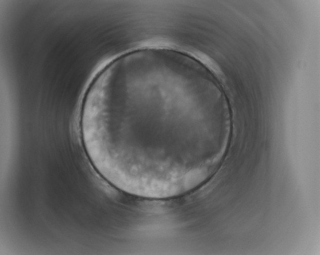 X0000111821248200908201124