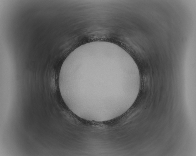 X0000111821250200908201124