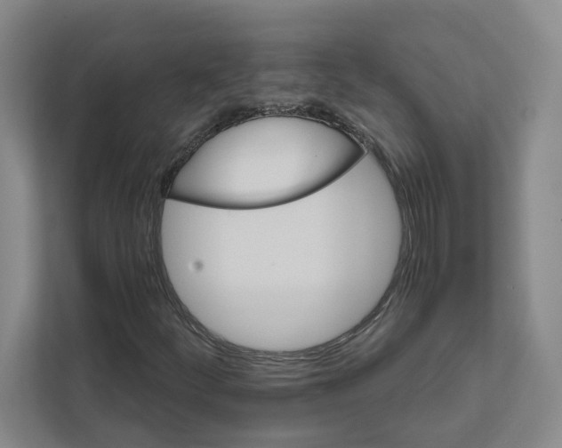 X0000111821252200908201124