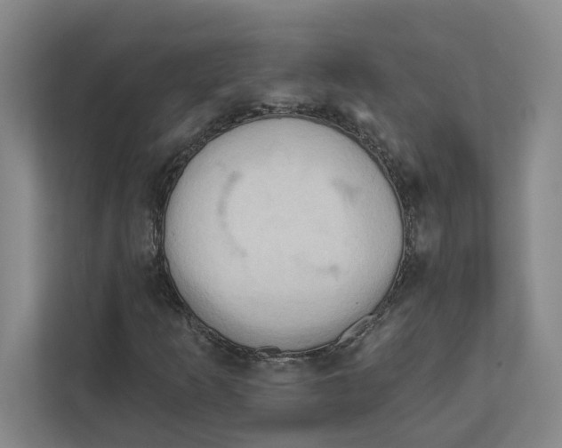 X0000111821253200908201124