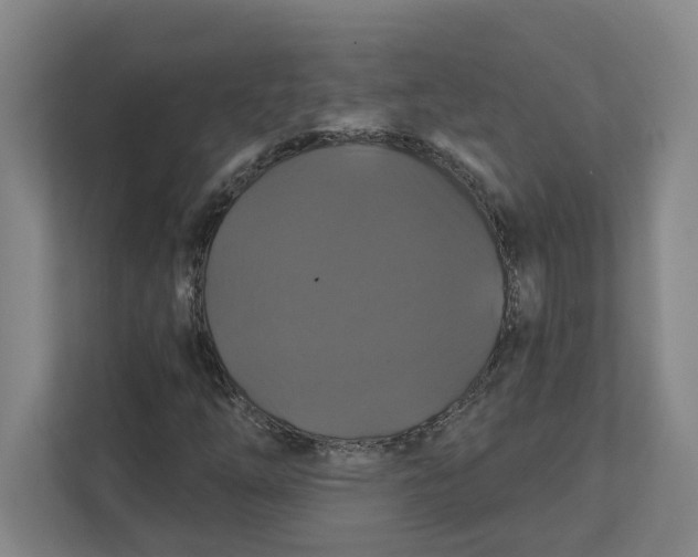 X0000111821254200908201124