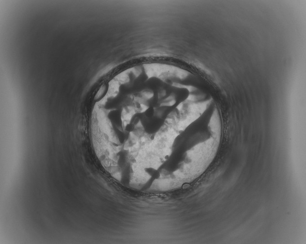 X0000111821255200908201123