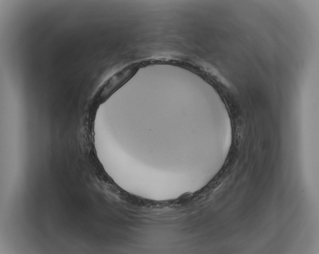 X0000111821256200908201123