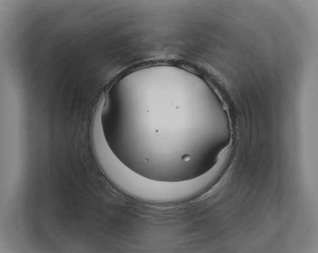 X0000111821257200908201123