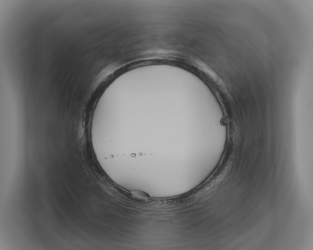 X0000111821259200908201123