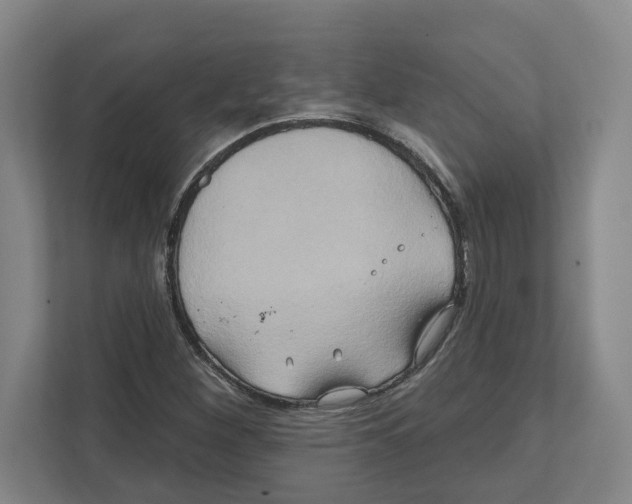 X0000111821260200908201123