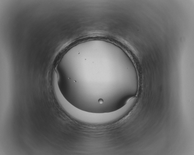 X0000111821261200908201123