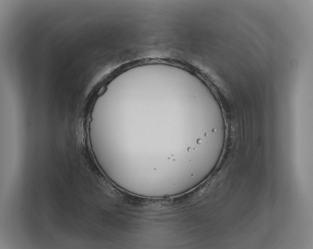 X0000111821262200908201123