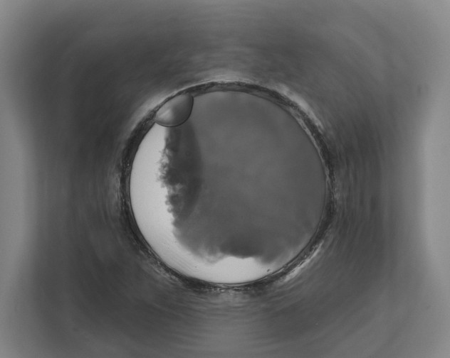 X0000111821263200908201123