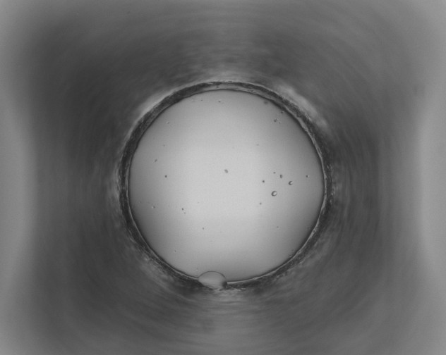 X0000111821264200908201123