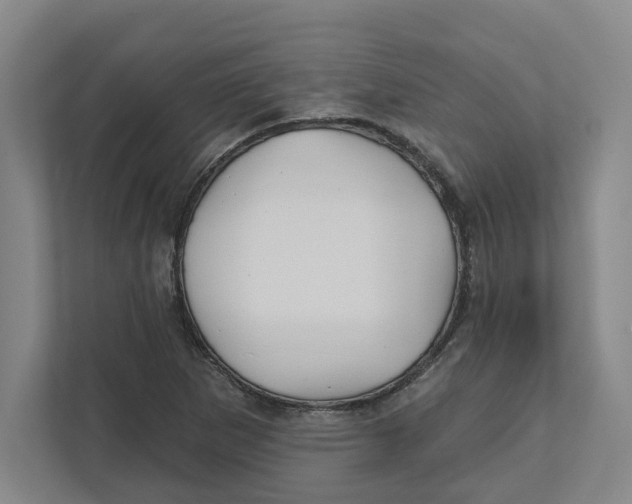 X0000111821265200908201123