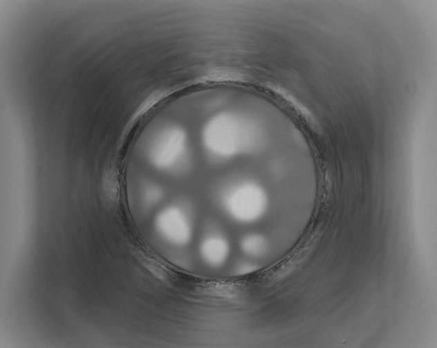 X0000111821266200908201123