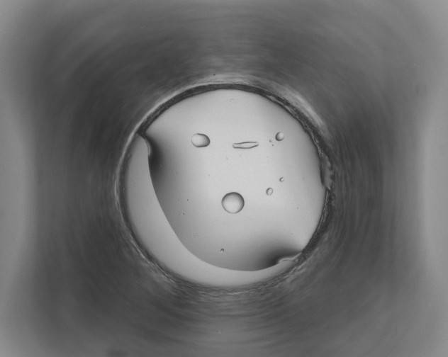 X0000111821268200908201123