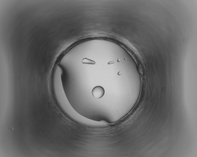 X0000111821269200908201123