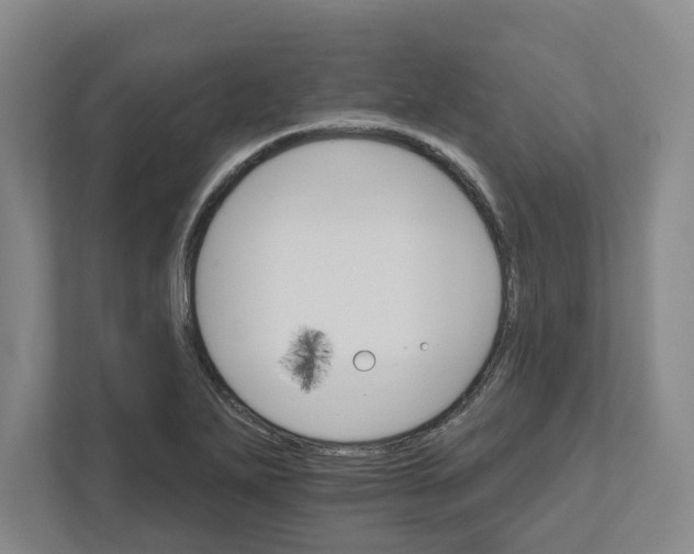 X0000111821271200908201123