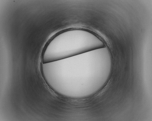 X0000111821272200908201123