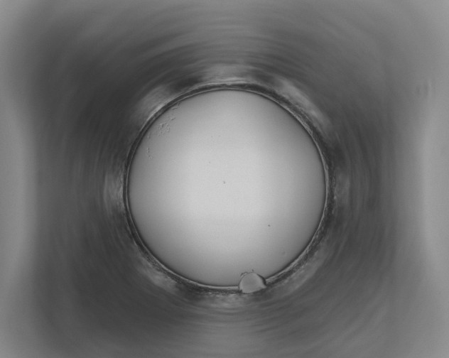 X0000111821273200908201123