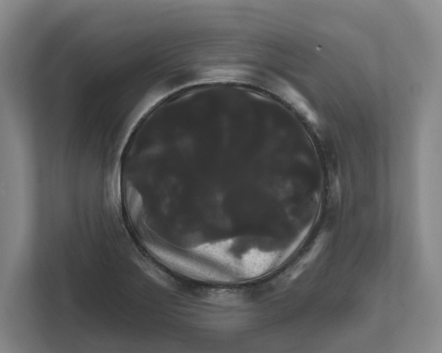 X0000111821275200908201123