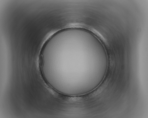 X0000111821277200908201123